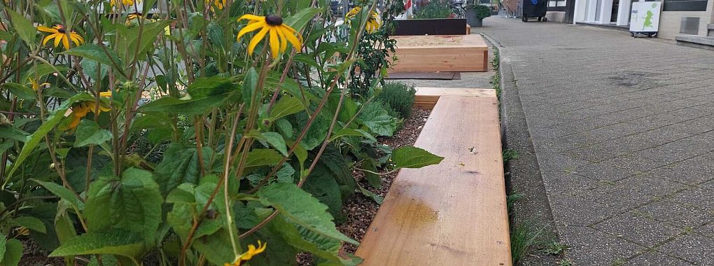 Die Blumenkästen und der von der Stadt aufgestellte Sandkasten kommen nur mäßig an. Einmal hatte es hier schon einen beinahe Unfall gegeben, als ein Kind plötzlich vor einem Auto lag. 

 
- © Janet König