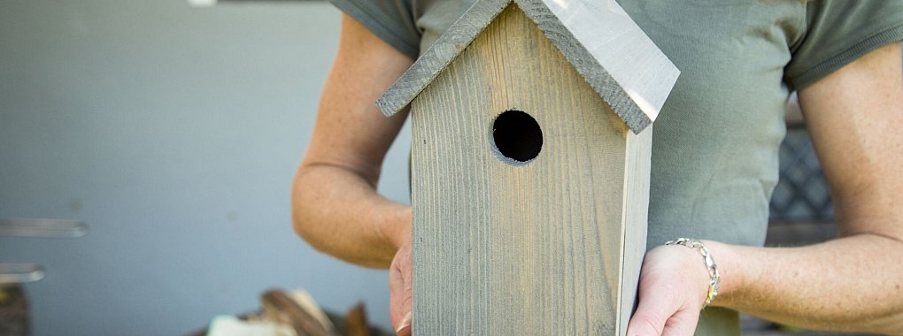 Beim Anbringen eines Nistkastens sollte man auf die Bedürfnisse der Vögel achten. (zu dpa: «Nistkästen mindestens zwei Meter über dem Boden aufhängen») - © Christin Klose/dpa-tmn/dpa