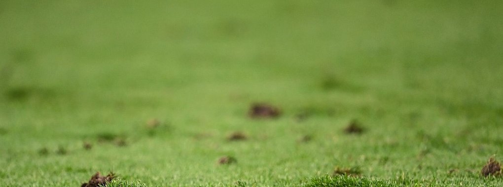 Die Frankfurter Arena hat ein Rasenproblem. - &copy; Swen Pf&ouml;rtner/dpa