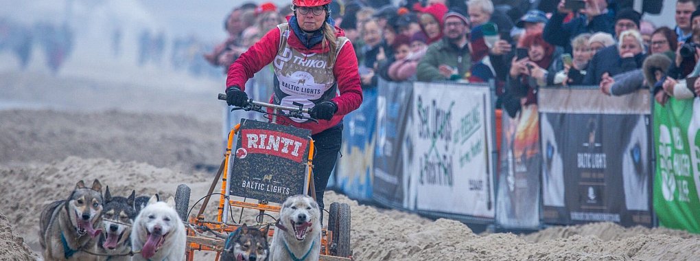 Andrea Herdegen mit ihrem Hundegespann am Ostseestrand auf der Insel Usedom. - © Jens Büttner/dpa