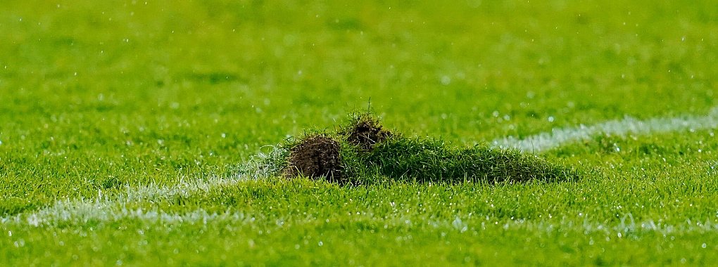 Der Rasen Saarbrücker Ludwigspark scheint zu halten. - © Uwe Anspach/dpa