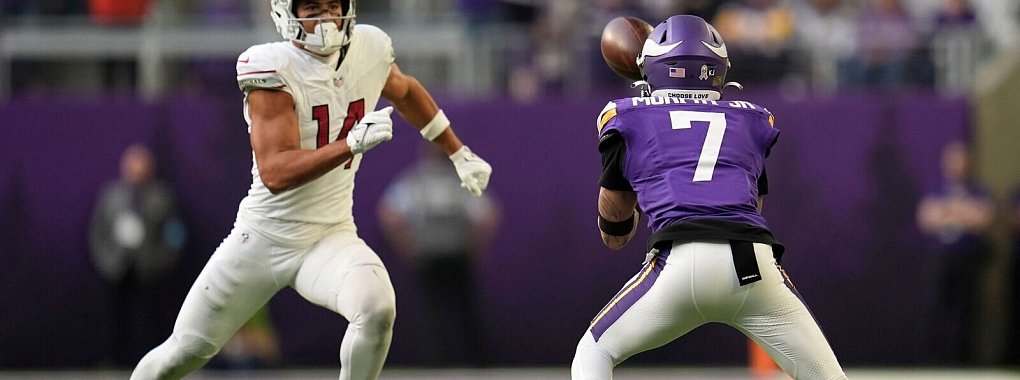 Minnesotas Defense gelang gegen die Cardinals zwei Interceptions. - © Abbie Parr/AP/dpa