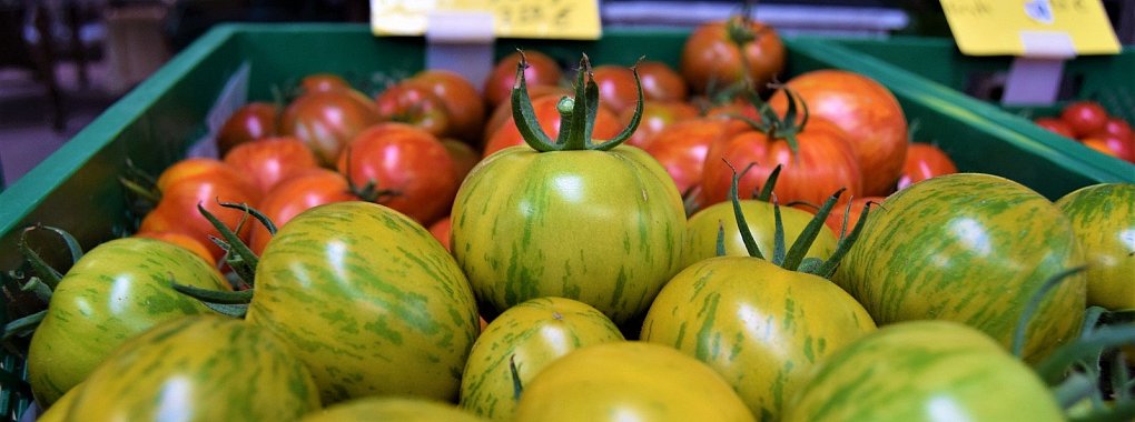 Ein besonderer Augenschmaus sind die „Zebra-Tomaten“ – laut Karl-Heinz Bicker werden sie aber auch besonders schnell weich. - © Greta Wiedemeier