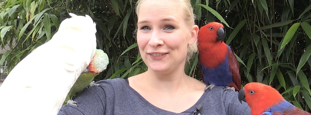 Unter Vögeln: Carolin Brokmann im Vogelpark Heiligenkirchen. - © Laurent Ohmansiek