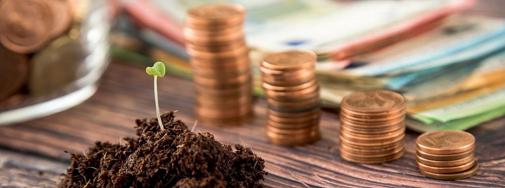 Ein zartes Pfl&auml;nzchen w&auml;chst vor Geldm&uuml;nzen und -scheinen. - &copy; Foto: Christin Klose/dpa-tmn