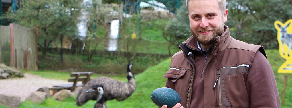 Marc-Philip Eckstein h&auml;lt ein Emu-Ei in der Hand, im Hintergrund ist ein ausgewachsenes Exemplar zu sehen. Im Vogelpark in Heiligenkirchen k&ouml;nnen Besucher das Australien-Gehege betreten. Fotos: Astrid Sewing - &copy; astrid Sewing