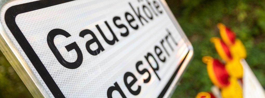 Seit dem 25. Januar 2019 ist die Gauseköte dicht. Die Straße hat eine mehr als 200-jährige Geschichte auf dem Buckel. Sie war die erste Landeschaussee, die Fürstin Paulie in Lippe bauen ließ. - © Jannik Stodiek