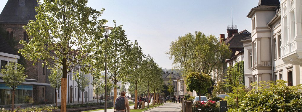 Der Wallgraben nach der Sanierung: Der dichte Bewuchs ist verschwunden, die neuen B&auml;ume wachsen. Viele Detmolder waren damals gegen die Sanierung und empfanden sie als zu steril. Manche sehen das immer noch so.&nbsp; - &copy; Bernhard Preuss