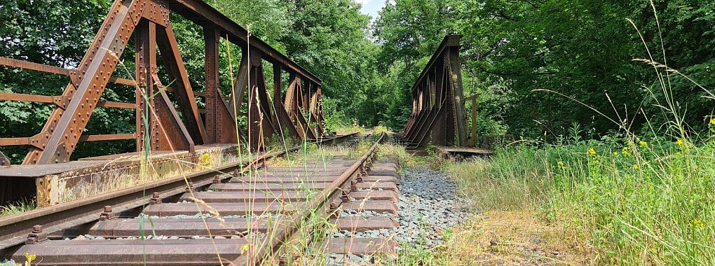 Die Schienen der alten Begatalbahn im Bereich Lemgo-Brake - © Nadine Uphoff
