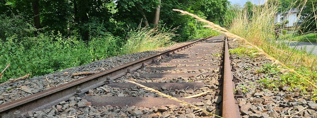 Die Schienen der alten Begatalbahn im Bereich Lemgo-Brake - © Nadine Uphoff