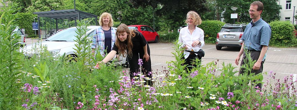 Susanne Eerenstein, Amelie Elbreder, Michaela Schiller und Thomas Fritzensmeier (von links) sehen sich das Ergebnis der Umgestaltung an. - &copy; Jana Beckmann