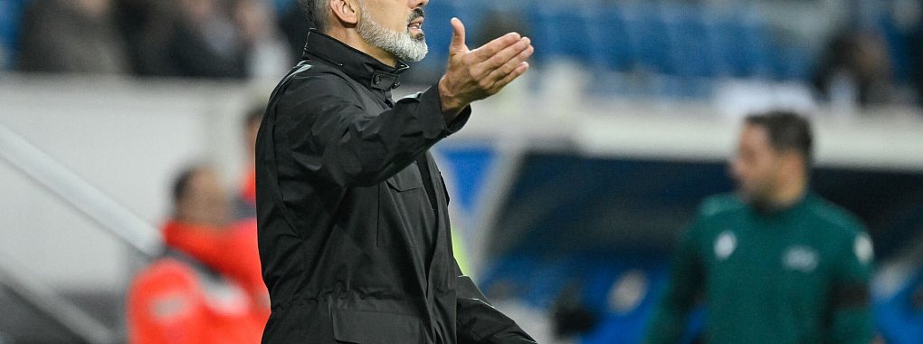 Wieder kein Sieg für TSG-Coach Pellegrino Matarazzo - © Uwe Anspach/dpa