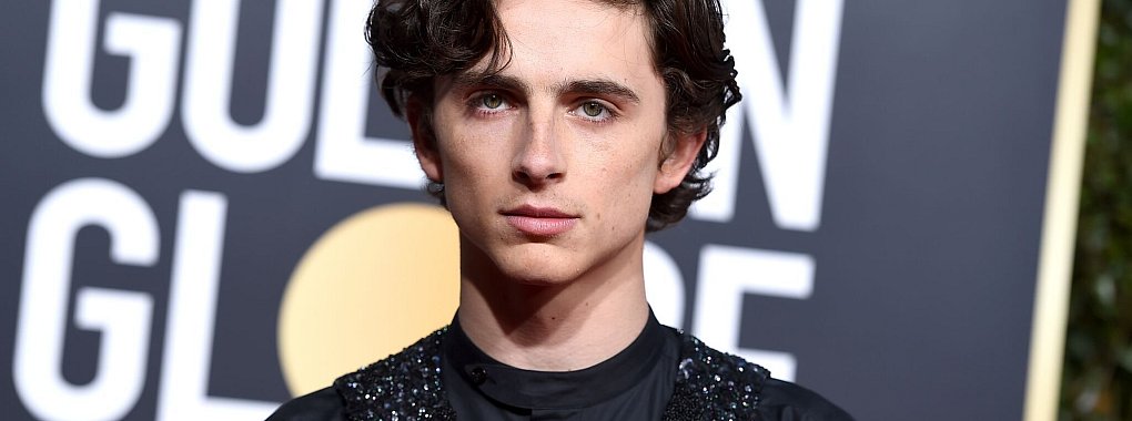 Timoth&eacute;e Chalamet verwandelt sich f&uuml;r Filmrolle in Bob Dylan - &copy; Jordan Strauss/Invision/AP/dpa
