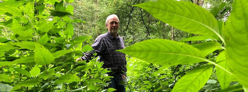 Bernd Mühlenmeier, stellvertretender Vorsidtzender Kreisverband Nabu Lippe, steht im Urwald an der Mittelstraße. - © Sven Kienscherf