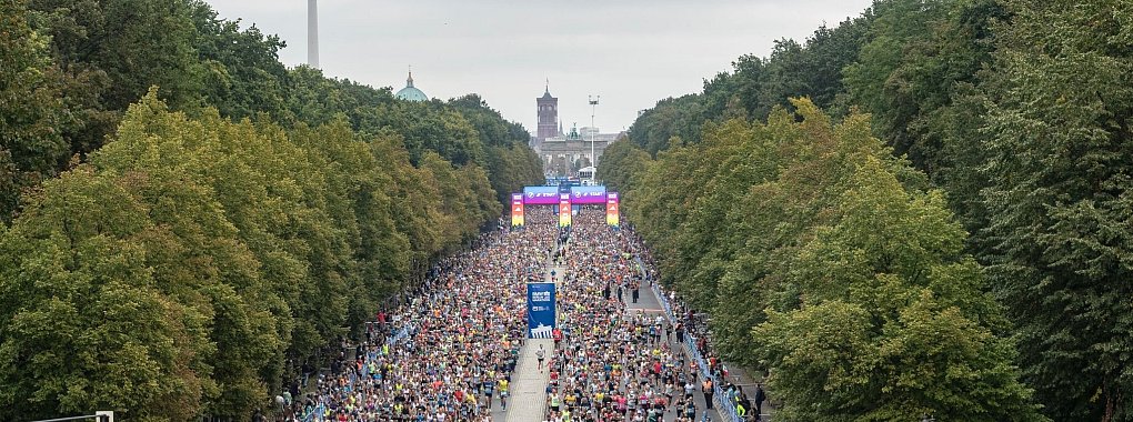 Der Berlin-Marathon findet in diesem Jahr zum 50. Mal statt. - © Paul Zinken/dpa