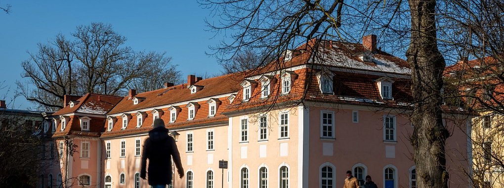 Nach langem Rechtsstreit ist das historische Gebäude wieder in städtischem Besitz. - © Jacob Schröter/dpa