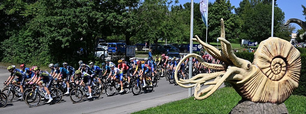 Das Peloton der Deutschland Tour auf dem Weg über die Schwäbische Alb. - © Bernd Weißbrod/dpa