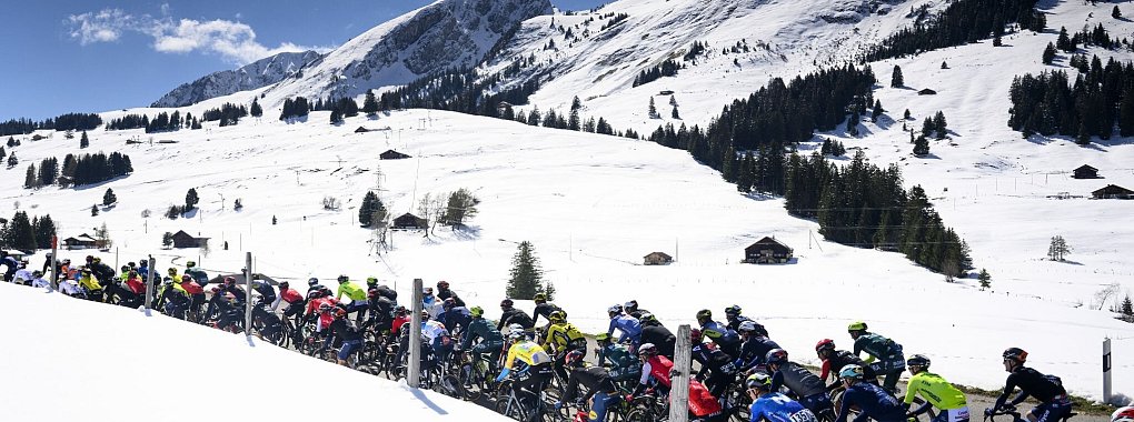 Das Fahrerfeld auf der Etappe von Fribourg nach Les Mar&eacute;cottes. - &copy; Jean-Christophe Bott/KEYSTONE/dpa