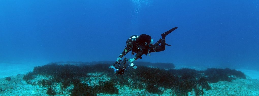Der Apokoronas Diving Park soll der erste voll lizenzierte Tauchpark Griechenlands sein. - © Dimitris Poursanidis/terrasolutions.eu/Apokoronas/dpa-tmn