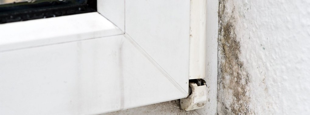Feuchtigkeit in der Wohnung kann zur Schimmelbildung führen. Manchmal liegt die Ursache dafür an einem Fenstertausch. - © Andrea Warnecke/dpa-tmn