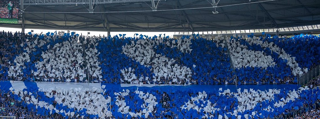 Viele Fans, wenig Geld: Schalke steht finanziell weiter vor großen Herausforderungen. - © David Inderlied/dpa
