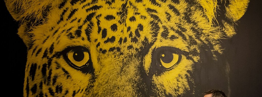 Zum 77. Mal findet in Locarno das Internationale Filmfestival statt. - &copy; Jean-Christophe Bott/KEYSTONE/dpa