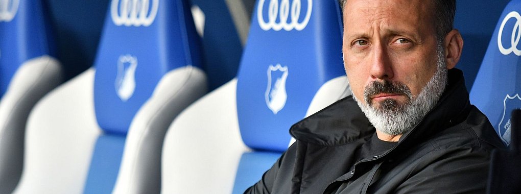 Matarazzo hat sich zur Meldung geäußert, wonach sich die TSG Hoffenheim beim DFB nach Sandro Wagner erkundigt hat. - © Jan-Philipp Strobel/dpa