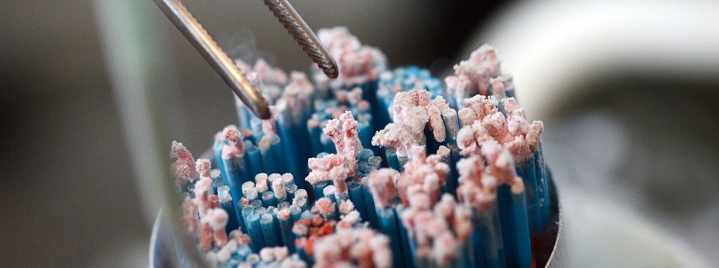 Der Chef des sozialen Netzwerks Telegram, Pawel Durow, hat nach eigenen Angaben vor 15 Jahren Sperma gespendet, um unfruchtbaren Eltern mit Kinderwunsch zu helfen. (Archivfoto) - &copy; picture alliance / Uli Deck/dpa