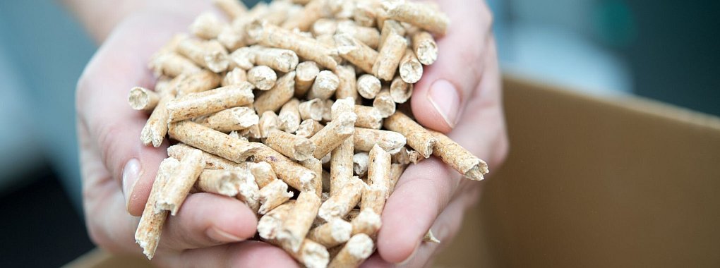 Augen auf beim Kauf: Heizungsbesitzer, die Holzpellets verwenden, sollten Angebote im Internet, die zu verlockend klingen, besser meiden. - © Andrea Warnecke/dpa-tmn