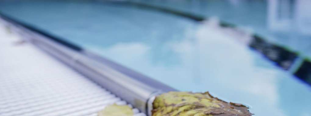 Wer einen Pool unter Nachbars Eichen baut, kann keine Entschädigung für den Laubfall verlangen. - © Andreas Arnold/dpa/dpa-tmn