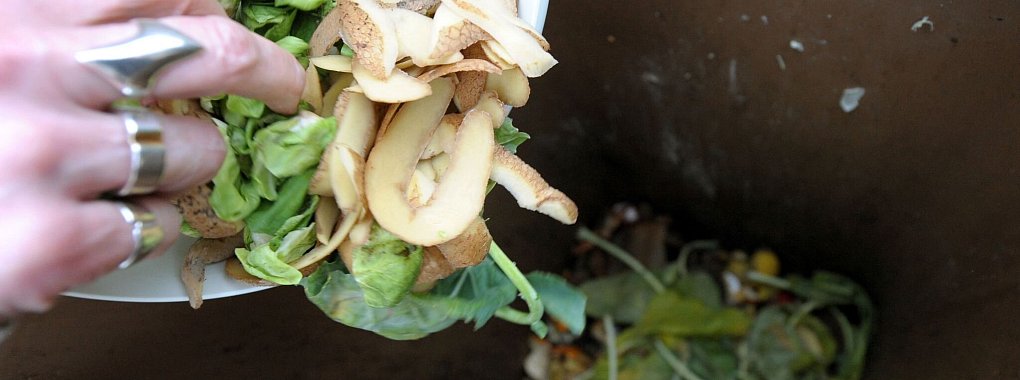 Alternative zur Biotonne: Mithilfe einer Wurmkiste können Bioabfälle in fruchtbare Erde umgewandelt werden. - © Peter Steffen/dpa