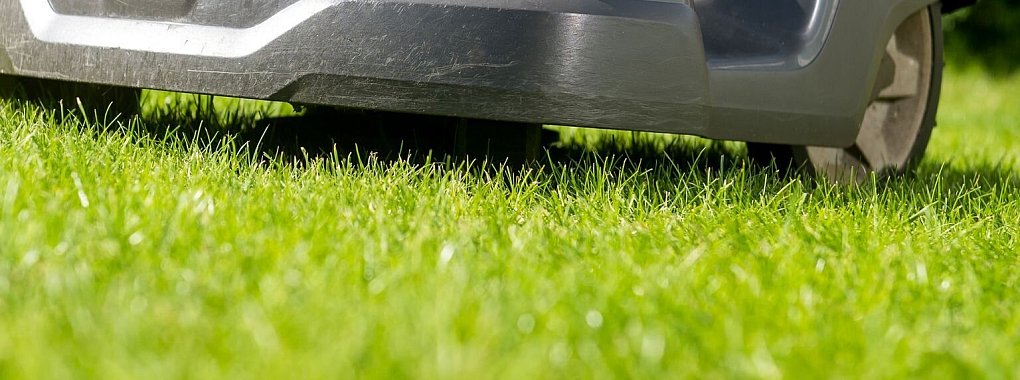 Ein M&auml;hroboter auf einem Rasen. - &copy; Foto: Benjamin Nolte/dpa-tmn