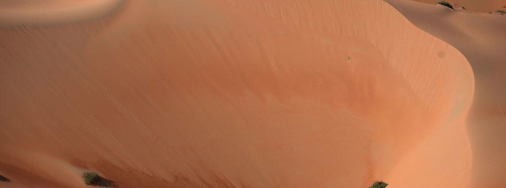 Der deutsche Beifahrer triumphiert zum zweiten Mal bei der Rallye Dakar. - © Christophe Ena/AP/dpa