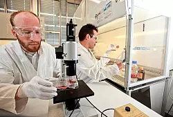 Dr. Markus Damme (links) und der Doktorand Bj&ouml;rn Kowalewski geh&ouml;ren zum Team von Biologen und Biochemikern, die an der Entdeckung mitgewirkt haben. Sie untersuchen und bewerten die Vorg&auml;nge in Zellen. - &copy; FOTO: ANDREAS ZOBE