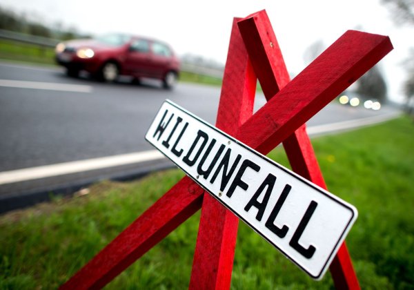 Ein Warnschild an der Stelle eines Wildunfalls in Deutschland. (Symbolbild) - © Hauke-Christian Dittrich/dpa