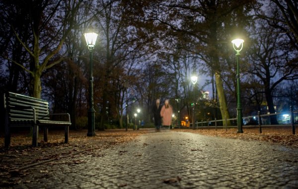 Laternen am Rande des Großen Tiergartens in Berlin. - © Philipp Znidar/dpa-Zentralbild/dpa