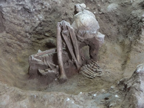 Dieser Fund soll älter als 9.000 Jahre sein. - © Yousuke Kaifu;Hirofumi Matsumura/dpa
