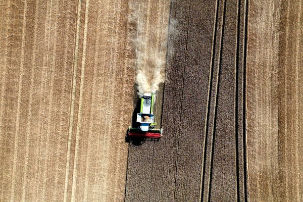 Das Sommerwetter sicherte den Landwirten im Juli eine trockene Einfuhr des Getreides. (Archivbild) - © Federico Gambarini/dpa