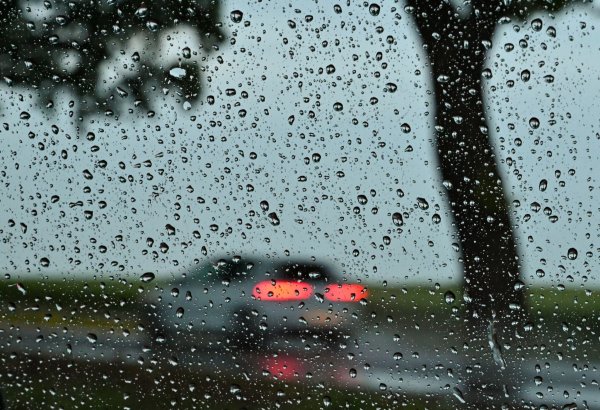 Auf der nassen Straße hatte der Mann die Kontrolle über seinen Wagen verloren. (Symbolbild) - © Patrick Pleul/dpa