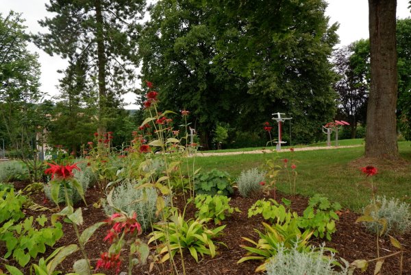 Die ersten Sportgeräte haben ihren Weg in den „Park mit Potenzial" gefunden. Weitere Anschaffungen, vor allem Spielgeräte für Kinder, sollen folgen. - © Lorraine Brinkmann
