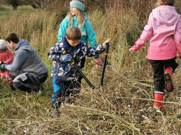 Kilian (Mitte mit Astschere) und die anderen Kinder der „Naturerlebnis AG“ des NABU Dörentrup und des Heimatvereins Barntrup haben Spaß beim Kopfweiden-Schneiden in Humfeld. - © Sylvia Frevert