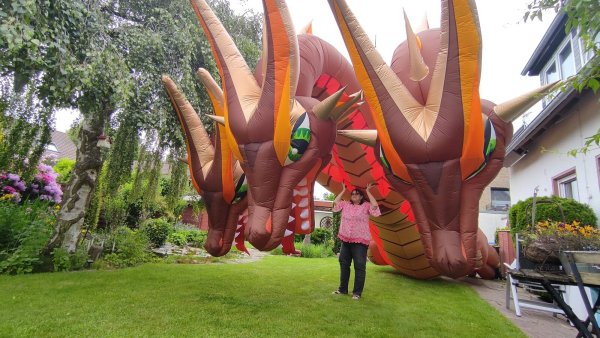 Rolf Zimmermanns Lebensgefährtin Ulrike Zara steht unter Drachen „Ghidorah“ im Garten. - © Rolf Zimmermann