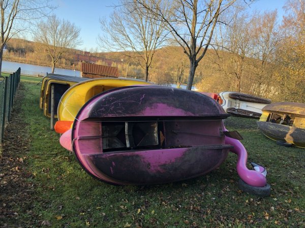 Am Ufer des Schiedersees liegen Pelikan und Ente im Winterschlaf.  - © Silke Buhrmester