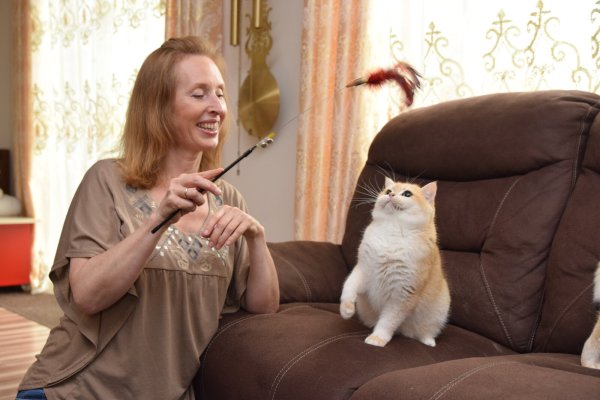 Janette Peters spielt mit Rassekatze "An Julie" im Wohnzimmer. - © Karin Prignitz