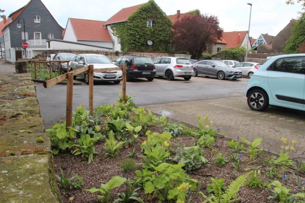 Der Parkplatz an der Ratstwete fasst 30 Pkw. Nach einer Idee, die in der Bürgerdialog-AG Immobilien diskutiert wird, könnten das efeubewachsene Haus im Hintergrund und das links daneben einer Verbesserung der Zufahrt geopfert werden, das hier nicht sichtbare Haus Burgstraße 28 für weitere Parkplätze. - © Dieter Asbrock