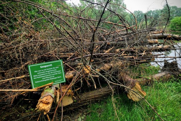 "Hier war zu viel Verkehr", schreiben Eigentümerin Anna Luetgebrune und Pächter Polizeisportverein auf einem Schild, das die Barrikade am Heidesee im Naturschutzgebiet Rethlager Bach erklärt. - © Jost Wolf