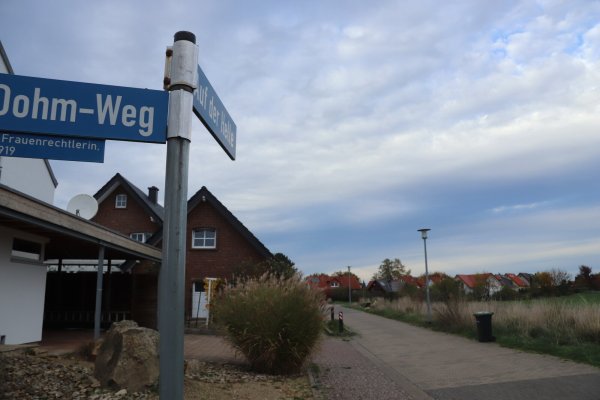 Das Baugebiet Brunsheide Süd-Ost sorgt immer wieder für kontroverse Diskussionen. Jetzt hat sich der Fachausschuss mit den Stellungnahmen der Bürger und Behörden befasst. Foto: Birgit Guhlke - © Birgit Guhlke