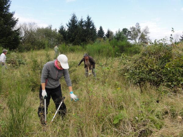 Freiwillige des Bergwaldprojektes bei Landschaftspflegemaßnahmen auf dem Preußischen Velmerstot. Hier wird gegen den Wald auf der Kuppe "angearbeitet". - © Andreas Bathe