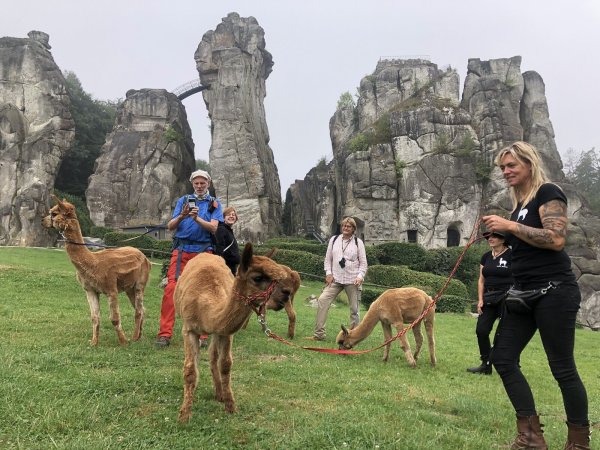 Vor mystischer Kulisse der Externsteine: Michael Sänger (links) und seine Begleiter (weiter von links) Annalena Schaefer, Günter Weigel (LTM), Petra Möller und Bonnie Gehrt (Alpakahof) sowie die Vierbeiner Spotty, Clyde, Julius und Porthos. - © Silke Buhrmester