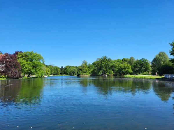 Die Fontäne auf dem Kurparksee ist kaputt. Eine neue Anlage ist bestellt und soll nach Eintreffen schnellstmöglich installiert werden. - © Freya Köhring